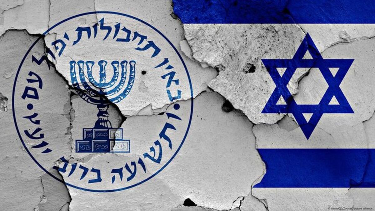 پوریا صفوت کیست؟