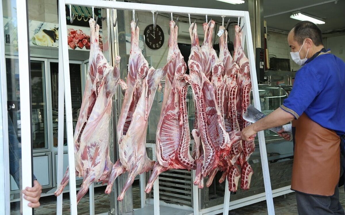 آغاز طرح برخورد با گران‌فروشی گوشت قرمز