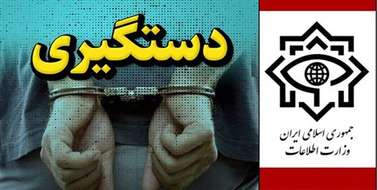 وزارت اطلاعات یک تبعه سوئدی را به اتهام جاسوسی بازداشت کرد