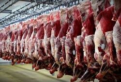 قیمت گوشت قرمز امروز سه‌شنبه ۶ مرداد ۱۴۰۵