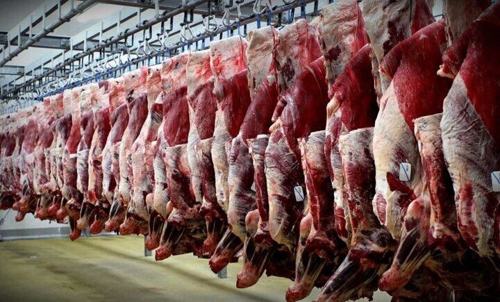 قیمت روز گوشت قرمز امروز چهارشنبه ۸ بهمن ۱۴۰۴ + جدول