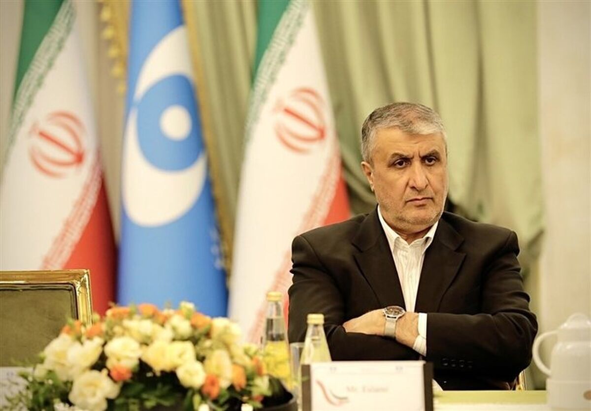 اسلامی: اعتماد میان ایران و آژانس باید بازسازی شود