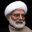 محسن رهامی