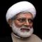 محسن رهامی