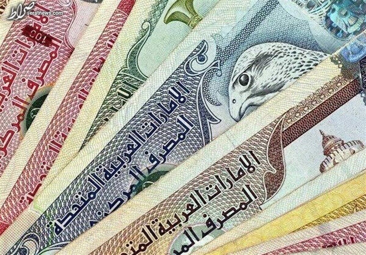 کشف تخلف ارزی یک میلیارد دِرهمی در تهران 