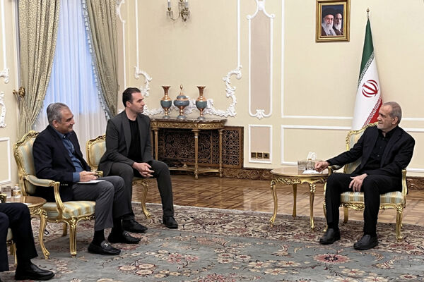 دیدار پزشکیان با وزیر کشور پاکستان / رئیس دولت: ایران آمادگی دارد روابط خود با پاکستان را در همه زمینه‌های گسترش دهد