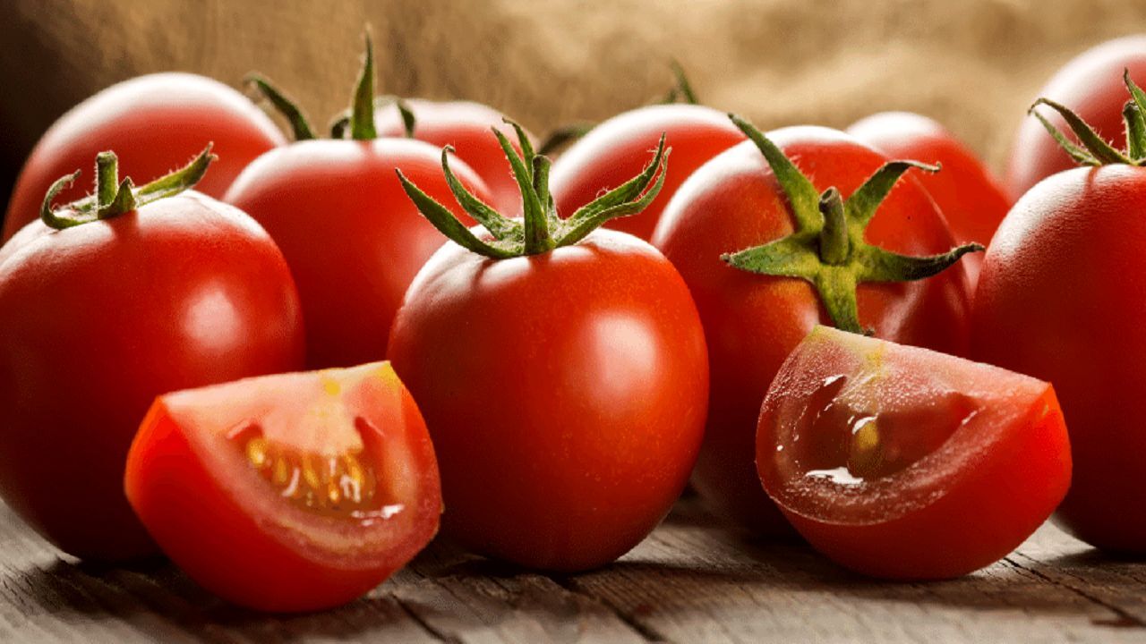 قیمت گوجه فرنگی عجیب شد!