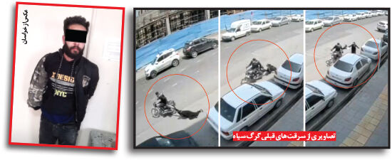 «گرگ سیاه» بار دیگر به تله پلیس افتاد