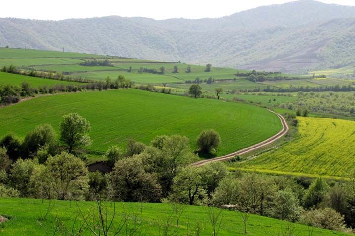 زیبایی‌های حیات وحش در پارک ملی گلستان را ببینید+ ویدئو