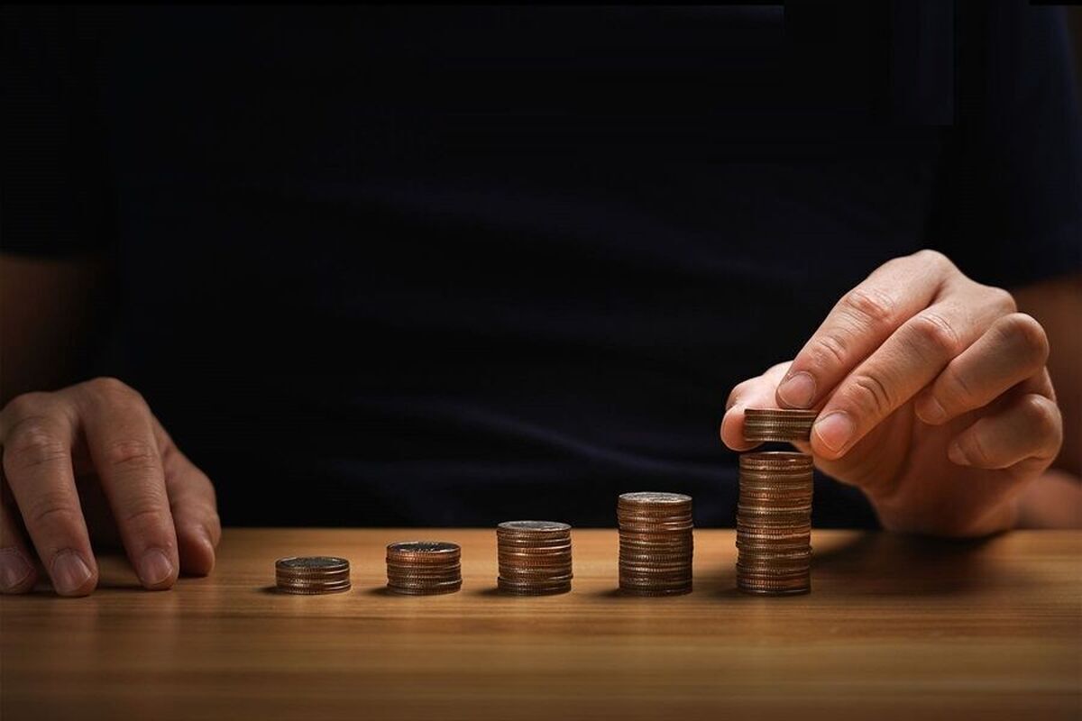 پرداخت ۲۹۱ میلیون تومان پاداش به گزارش‌دهندگان فرار مالیاتی
