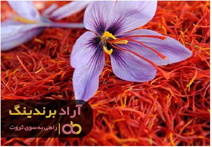 قیمت زعفران تواضع ثابت ماند