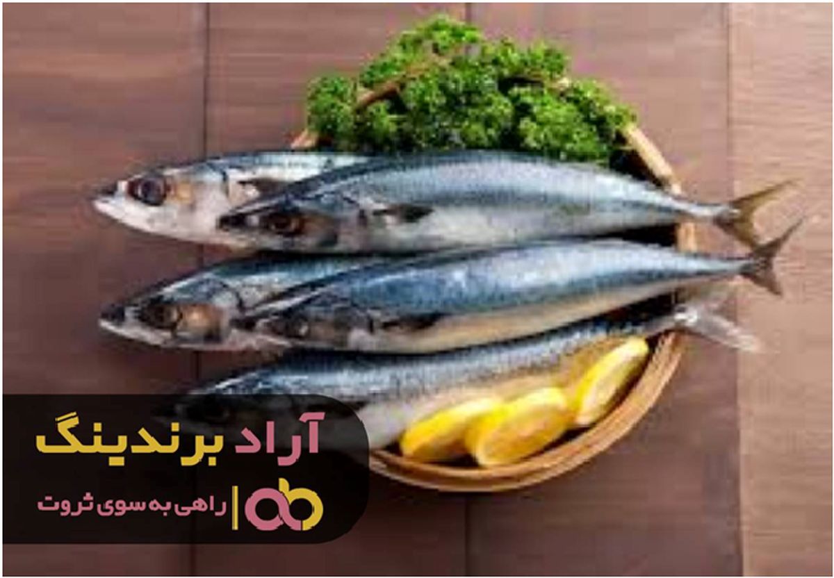 با ماهی بدون دغدغه سود بالایی به دست آورید