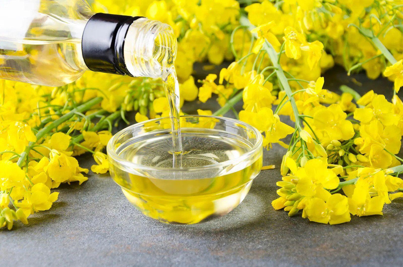چطور روغن سالم انتخاب کنیم و آن را سالم نگه داریم