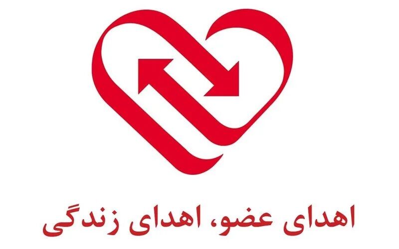 نوجوان مرگ مغزی، نجات بخش شش بیمار نیازمند به عضو شد