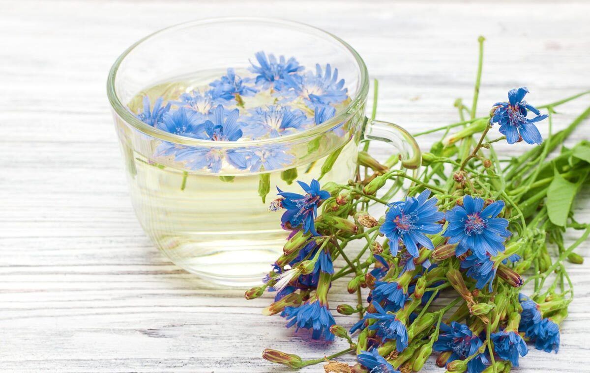 پاکسازی کبد تنها با یک گیاه