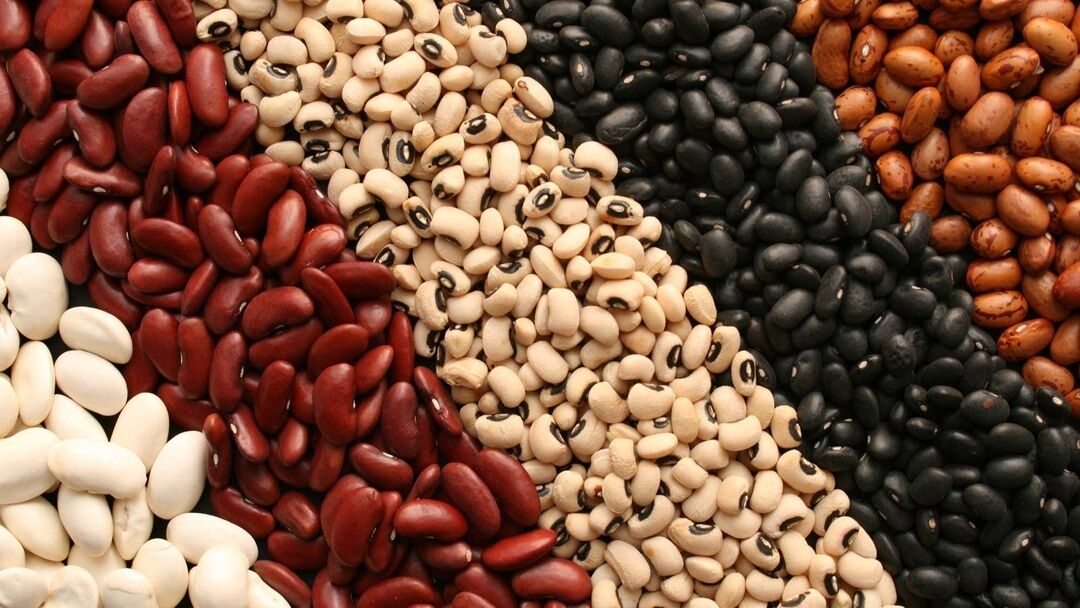 رئیس اتحادیه خواروبارفروشان: لوبیا هم‌قیمت گوشت شد