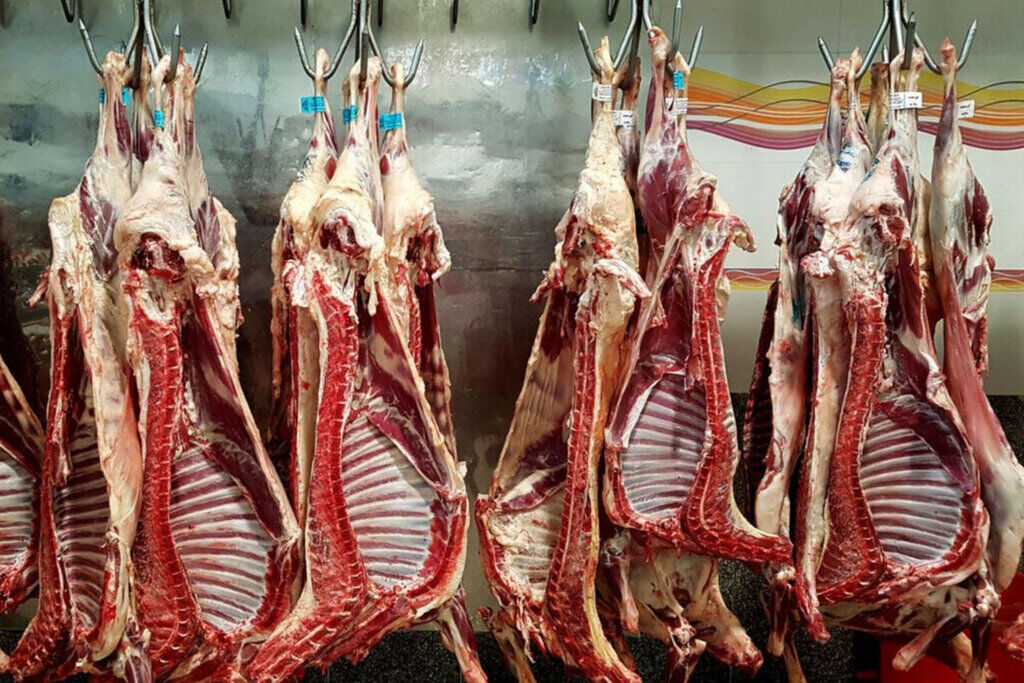 دلیل تفاوت قیمت دو برابری گوشت بسته‌بندی با لاشه گوسفندی