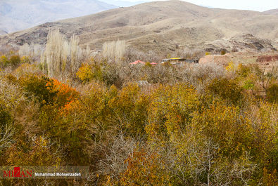 روستای قاهان