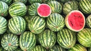 دریافت عوارض آب مجازی ازصادرکنندگان میوه و تره بار در گمرک