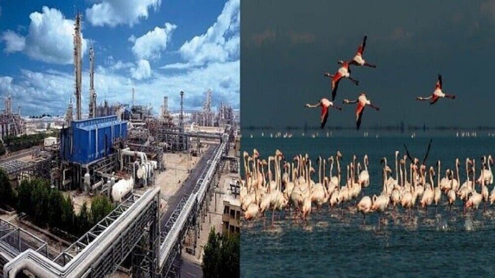 استاندار مازندران دستور کار دولت درمورد پتروشیمی میانکاله را اجرا نماید