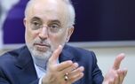 علی اکبر صالحی: از دیوار بی‌اعتمادی ایران و آمریکا عبور نمی‌شود، مگر با بسیج کردن عقل، هوشمندی و حکمت سیاسی