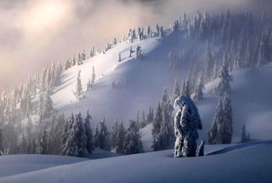 مسابقه عکاسی منظره طبیعی