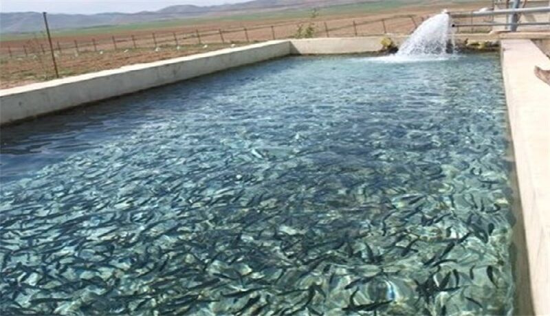 محورهای هفتگانه تفحص از شیلات/اعضای هیئت تحقیق انتخاب شدند
