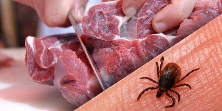 شیوع تب کریمه در مازندران/ در خرید گوشت قرمز دقت کنید