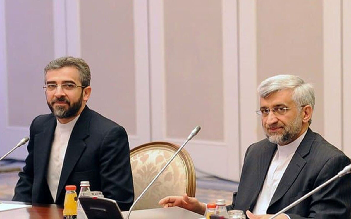 علی باقری به حامی همه جانبه برجام تبدیل شده است