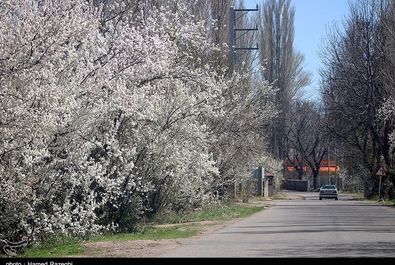 طبیعت بهاری ابهر