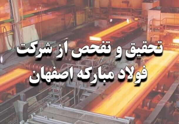 در گزارش «فولاد مبارکه» قرائت شده در صحن اسامی ذکر نشده