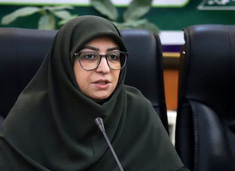 معاون رئیس جمهور: ایران موفق به حذف بخش زیادی از گازهای مخرب لایه ازن شد