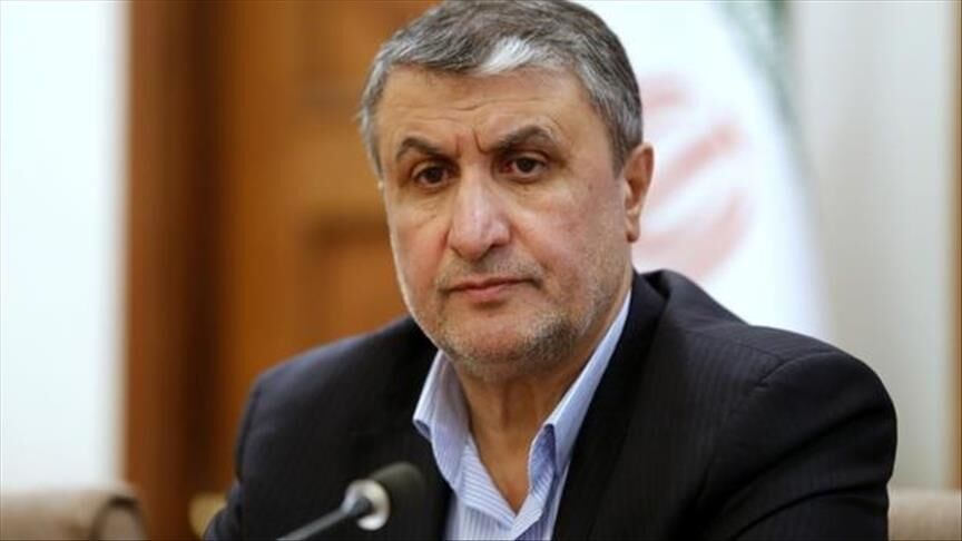 رئیس سازمان انرژی اتمی: ۲ بازرس آژانس با مجوز دبیرخانه شورای عالی امنیت ملی به ایران سفر کردند
