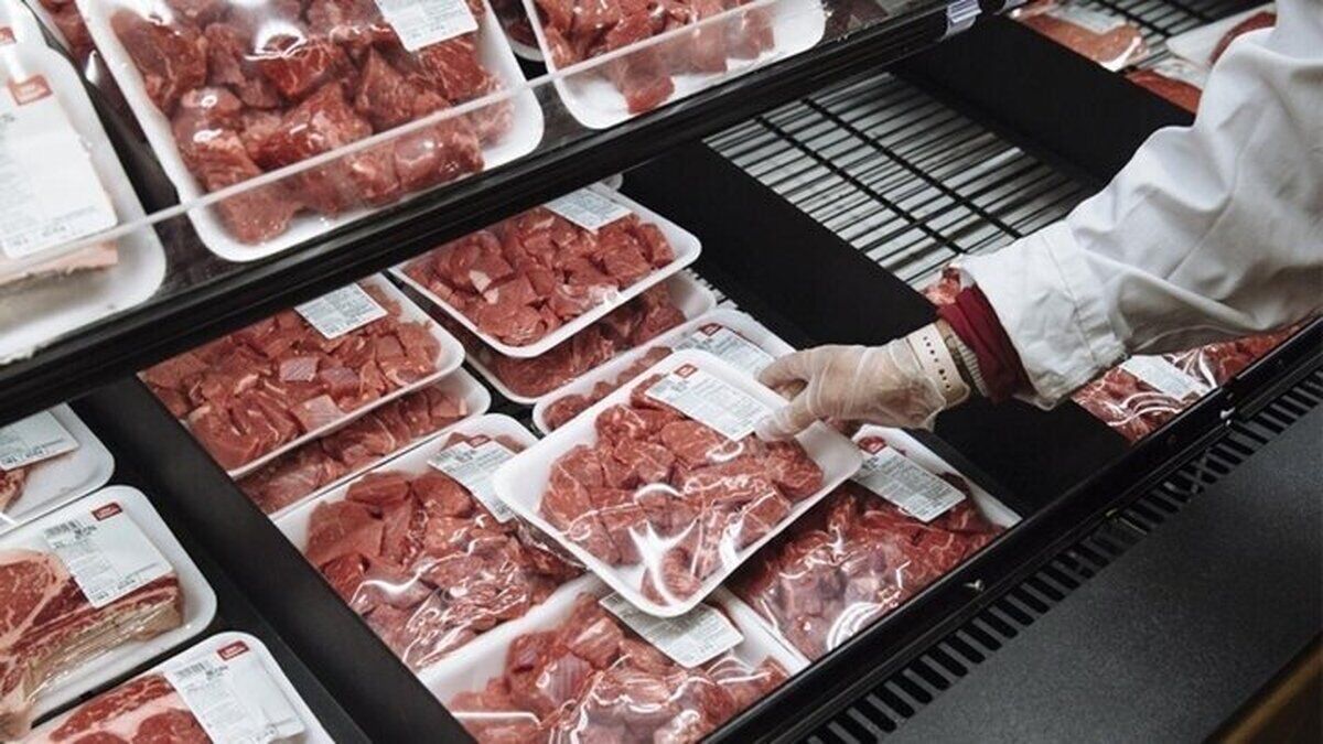 
علت تشکیل صف‌های طولانی خرید گوشت قرمز چیست؟
