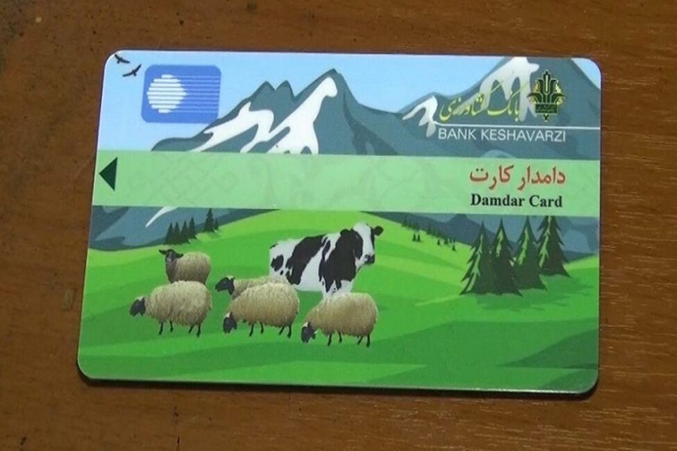 ملاک دریافت دامدارکارت؛ پلاک کوبی، بیمه و پروانه بهره‌برداری دام
