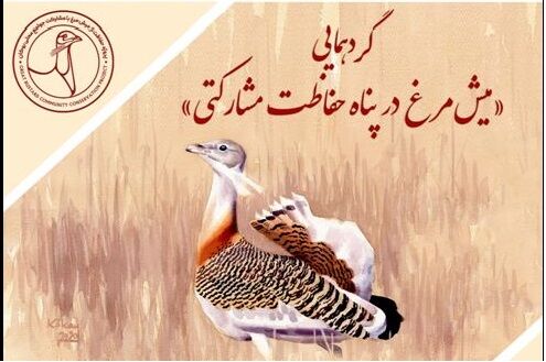گردهمایی «میش‌مرغ در پناه حفاظت مشارکتی» در موزه دارآباد برگزار می‌شود + جزئیات و زمان برگزاری