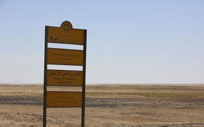 کمک ۱۰ میلیون دلاری  ژاپن به ایران برای احیای تالاب‌‌ها کجا خرج شد؟