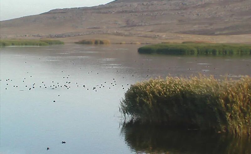 آغاز پیگیری‌ها برای ثبت جهانی تالاب جازموریان