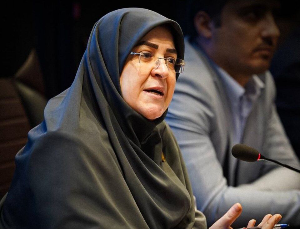 مهاجرانی: ایران موضوع خسارت ناشی از حمله به نیروگاه بوشهر را با آژانس مطرح کرد