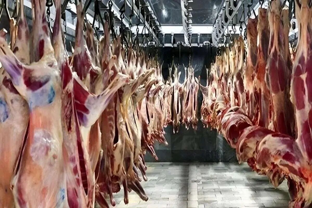 قیمت گوشت قرمز امروز ۱۶ اردیبهشت ۱۴۰۵