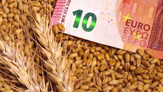 گندمی که کیسه‌ای ۳۸ هزار تومان است خارج از مرز ۸۰۰ هزار تومان است